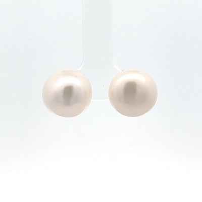 13.5 Freshwater Pearl GP Studs